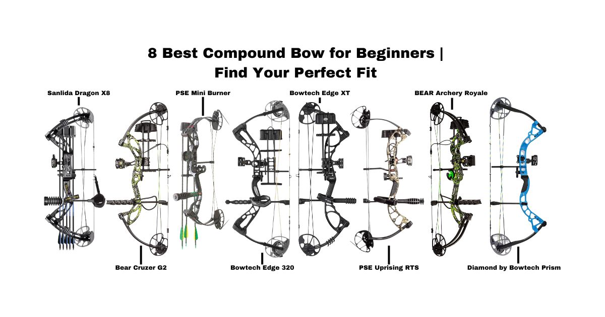 8 Best Compound Bow for Beginners
