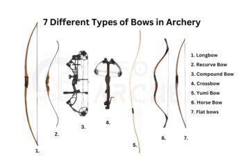 7 Different Types of Bows in Archery