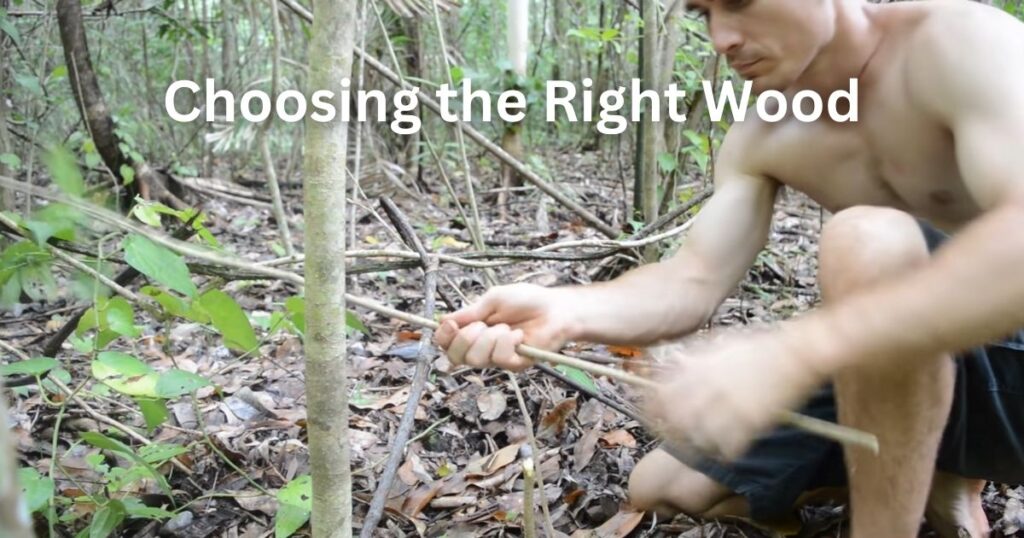 How to Make Arrows in the Forest: Choosing the Right Wood