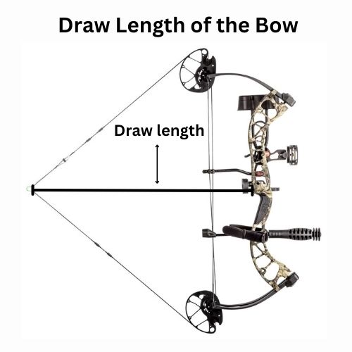 Draw Length of the Bow