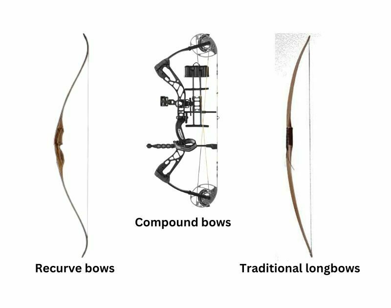 Parts of a Bow A Comprehensive Guide for Archery Enthusiasts