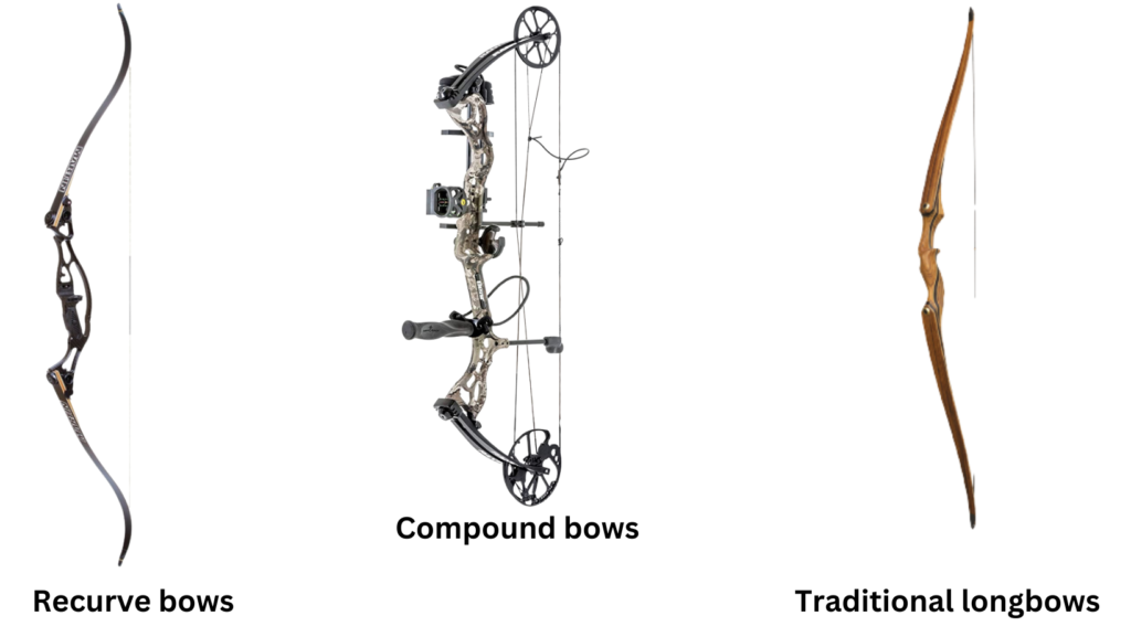 Different Types of Bows Target Archery