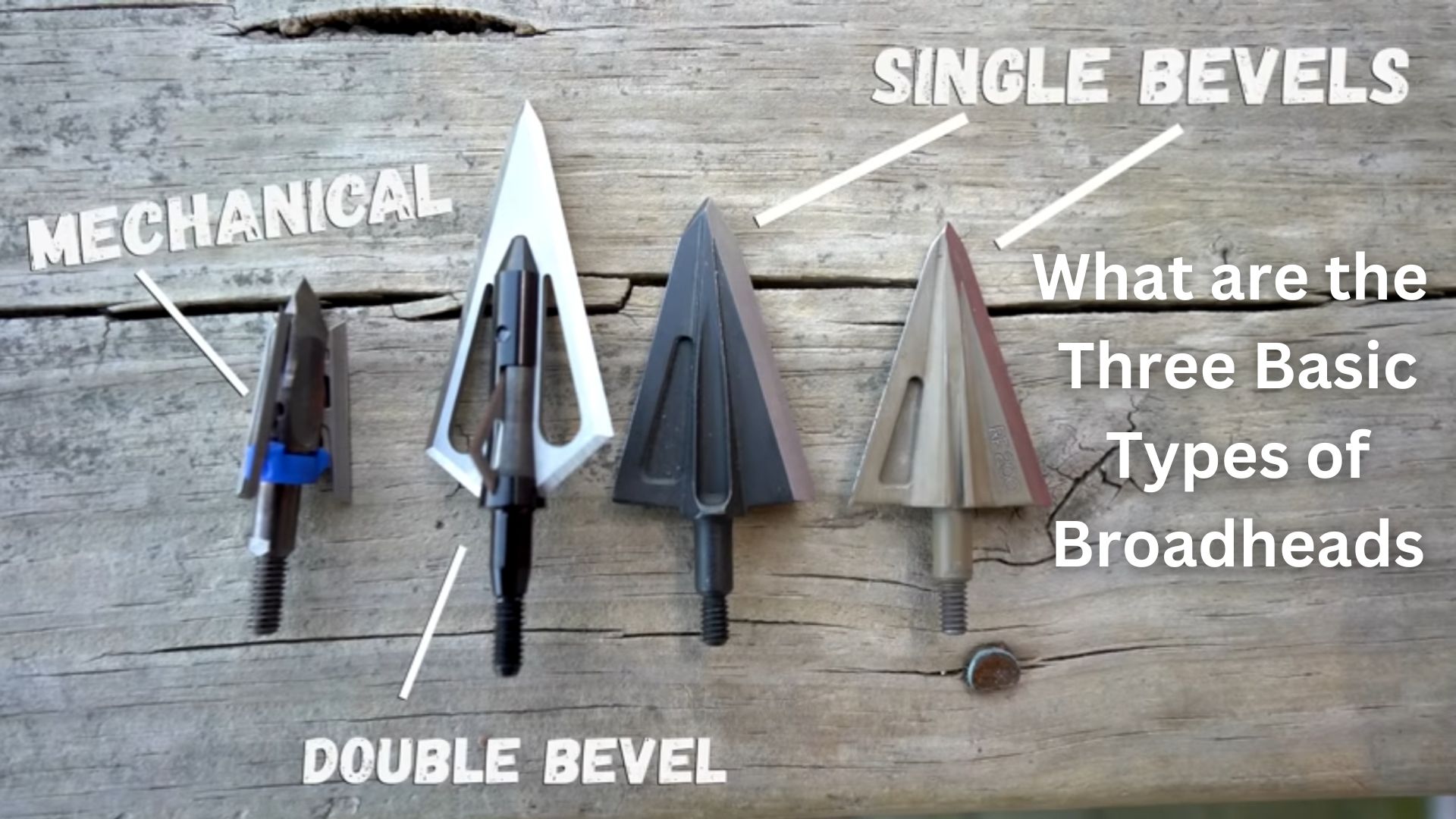 Three Basic Types of Broadheads fixed blade, mechanical, and hybrid broadhead