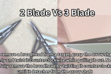 2 Blade Vs 3 Blade Broadhead