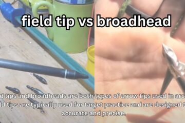 field tip vs broadhead