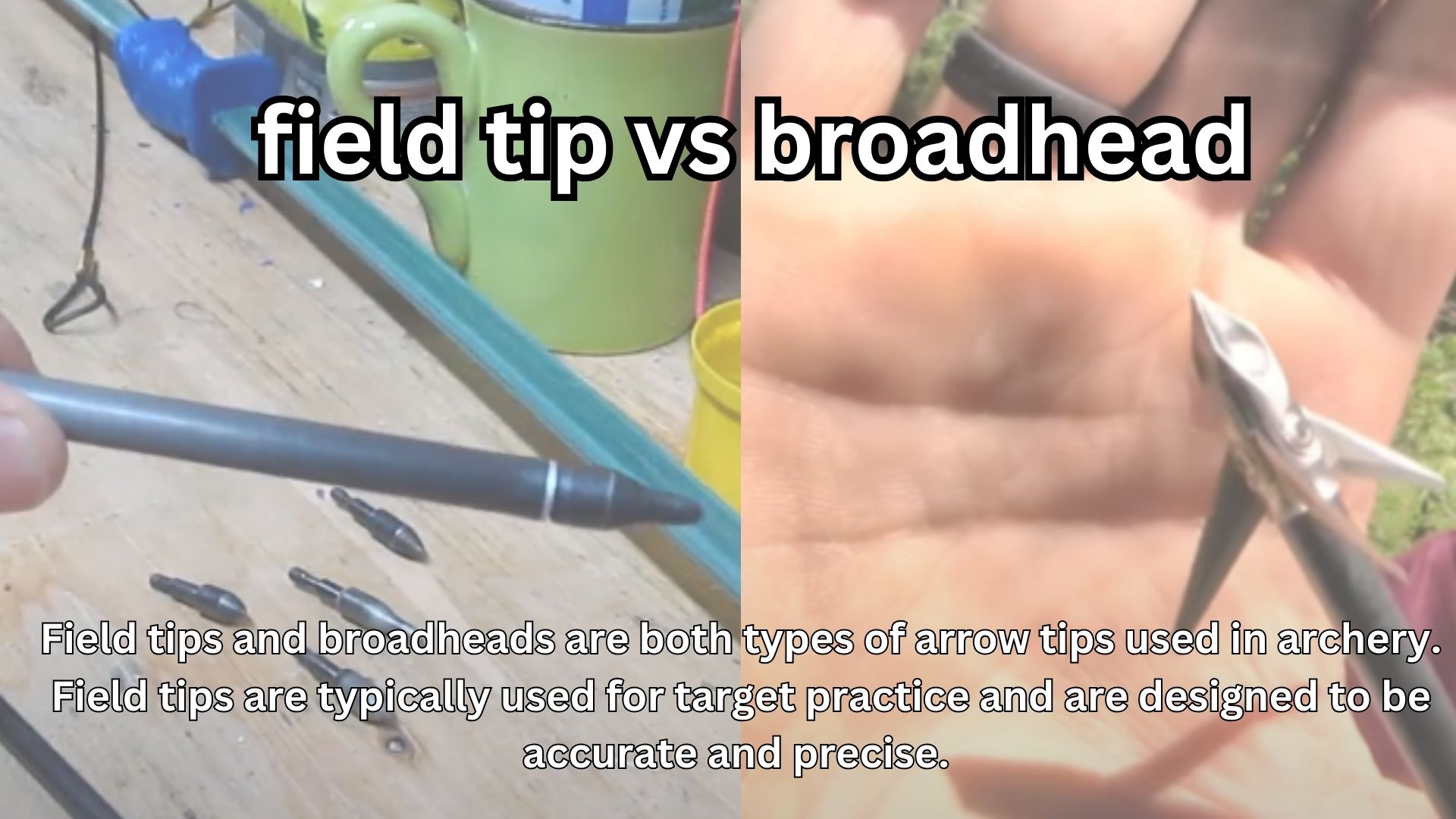 field tip vs broadhead