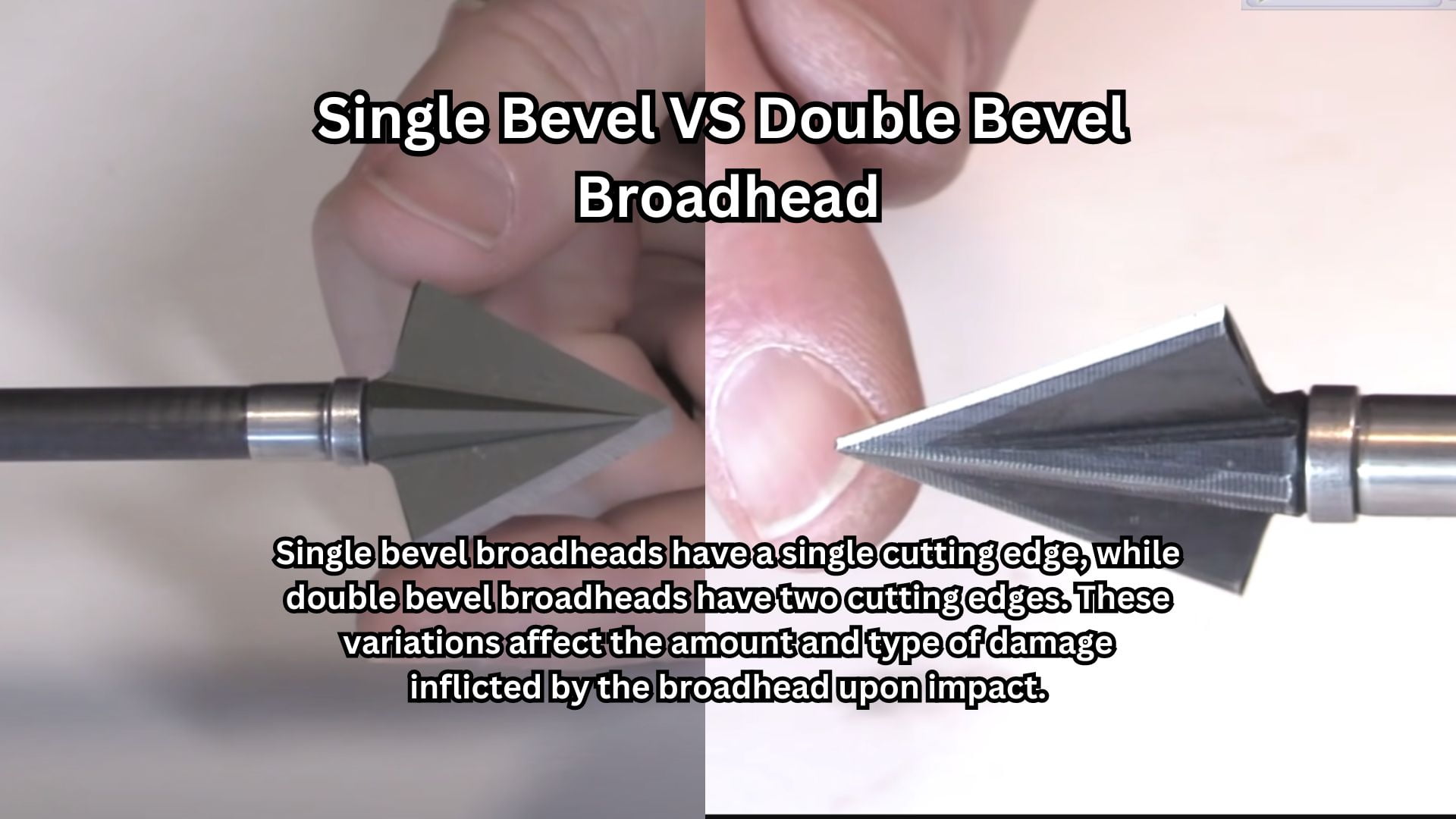 Single Bevel VS Double Bevel Broadhead